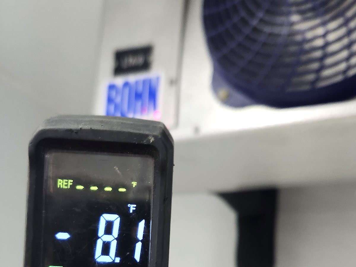 Checking a walk-in freezer evaporator temperature at minus 8 degrees